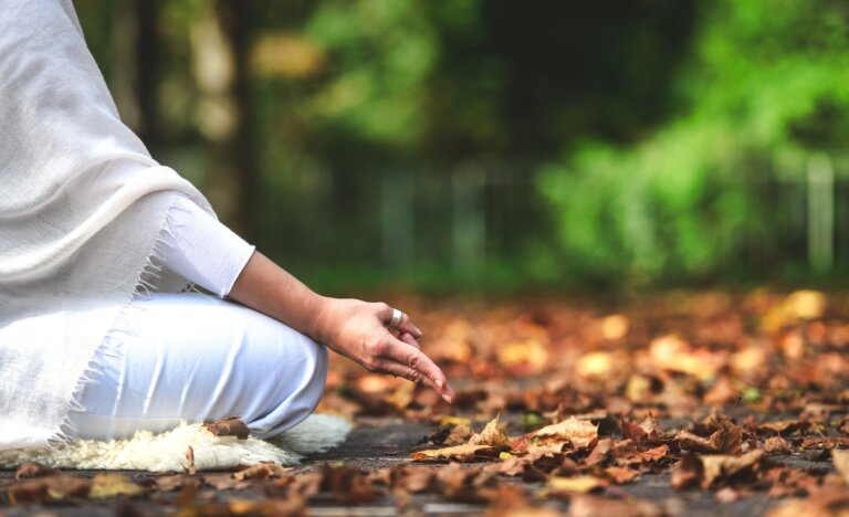 AYURVEDA & YOGA