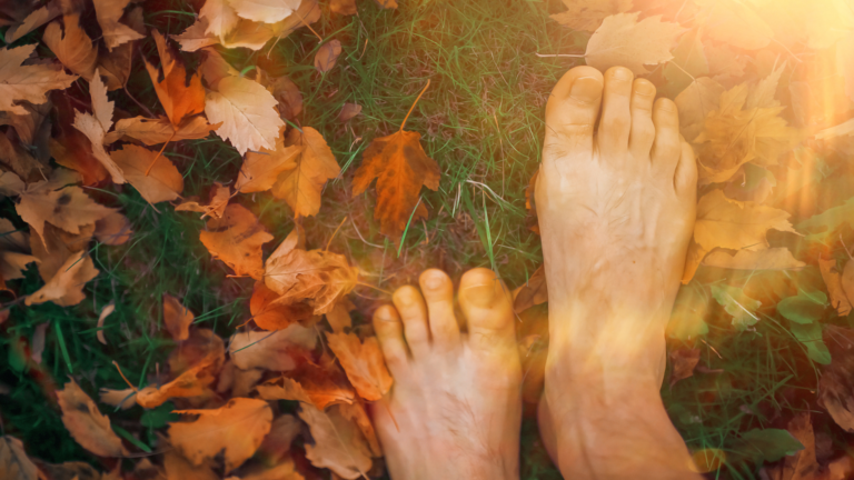 autumn grounding